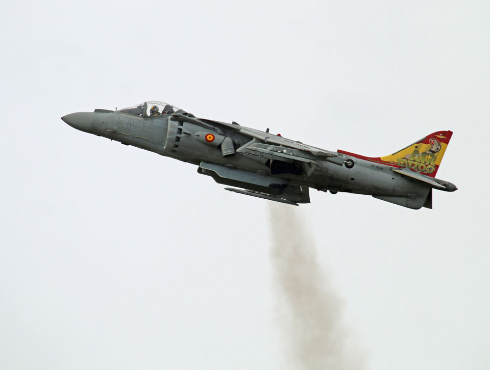 Spanish-Harrier.jpg